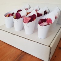 Biodegradable Rose Petal Wedding Confetti - Cone Pack (36)